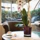 Hotel Albergo Santa Chiara, Rom - Foto 9