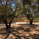 Camping Pezza Cardo, Porto-Vecchio (fotografie 4)