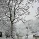 B&B IL BOSCHETTO, Calestano (fotografie 10)