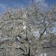 B&B IL BOSCHETTO, Calestano (fotografie 8)