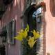 B&B IL BOSCHETTO, Calestano (fotografie 6)