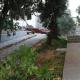 Apartments with a parking space Mandre, Pag - 12722, Kolan (foto 3)
