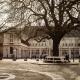 Stayci Serviced Apartments Royal Palace, Haag (fotografie 3)