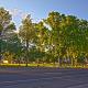 Best Western Plus Cedar City, Cedar City (fotografie 4)