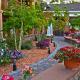 Best Western Plus Cedar City, Cedar City (fotografie 9)