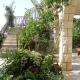 Apartments by the sea Prizba, Korcula - 149, Prizba (foto 5)
