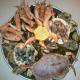 Ecume de Mer, Trébeurden (foto 6)
