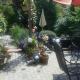 Ferienwohnung am Siel, Ditzum - Photo 3