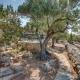 Holiday home Nikol, Veli Lošinj - Fotografie 8