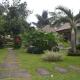 Suka's House Bed & Breakfast, Ubud (fotografie 6)