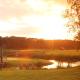 Golfpark Strelasund, Süderholz - Fotografie 10