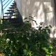 Chalet Don Bosco, Castiglione di Sicilia (fotografie 5)