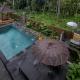 Puri Astina Villa Ubud - Fotografie 2