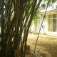 Hotel Pearl Gate, Chilaw (Foto 7)