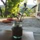 Henye holiday homes, Balatonhenye (foto 7)