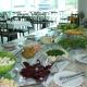Hotel e Restaurante Bordignon, Joaçaba - Photo 9
