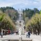 Huga Home, Lamego (foto 9)