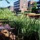Room With A Few, Amsterdam (Foto 5)
