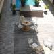 Hotel Puerto Inn, Veracruz (fotografie 4)