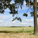 De Hagendoorn, Moorveld (fotografie 10)