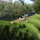 Apartments with a parking space Pirovac, Sibenik - 6246, Pirovac (Slosella) (foto 5)
