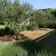 Apartments with a parking space Pirovac, Sibenik - 6246, Pirovac (Slosella) (foto 7)