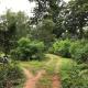 Kamp Kamouflage Kanha, Kanha - Fotografie 8