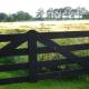 Bed en Breakfast De Boksloot, Ravenswoud (fotografie 7)