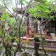 Nyoman Murjana Homestay Ubud - Photo 10