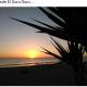 Mobil home, El Palmar (fotografie 7)