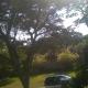 Tinotenda Cottage, Harare (Foto 7)