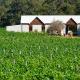 Upper Reach Spa Cottage, Henley Brook