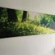 Apartment Treetown, Regensburg - Foto 10