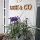 Lush & Co Auckland Bed & Breakfast, Auckland - Fotografie 9