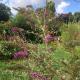Fern Cottage, Dorchester (Foto 5)