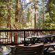 12B Star Gazers, Wawona (fotografie 10)