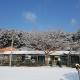 Bluesky Pension, Pocheon
