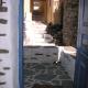 3-level doll house in Kea Ioulida/Chora, Cyclades - Foto 10