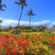 Maui Vista 1313, Kihei - Fotografie 4