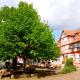 Landhotel Gemeindeschänke, Wanfried - Foto 7