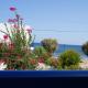 Hotel Eleni Beach Livadia - Foto 10