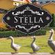 Stella Pool Villa at Marino khaoyai, Nong Nam Daeng (foto 3)