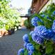 Beate's Bed & Breakfast, Münzenberg - Foto 3