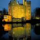 Bunratty Holiday Homes, Bunratty (zdjęcie 7)