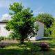 Bungalows - Pension Seeper, Sandort - Photo 4