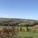 Pension und Weingut Hirschhof, Offenheim - Foto 4