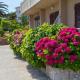 Apartments Ani, Veli Lošinj (fotografie 2)
