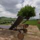 AGRITURISMO Ca' Maggio, Sassofeltrio (foto 7)