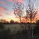 Fair View, Marden (fotografie 10)