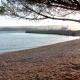 Apartments with a parking space Turanj, Biograd - 6212, Turanj (photo 6)